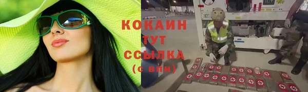 стаф Наволоки